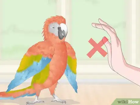 Image titled Treat and Prevent Macaw Bites Step 8