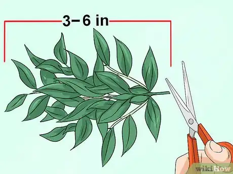 Image titled Make a Floral Balloon Step 4