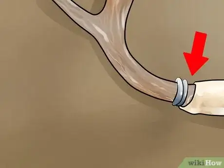 Image titled Score Mule Deer Antlers Step 15