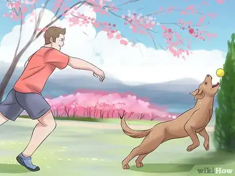 Image titled Tame a Dog Step 17