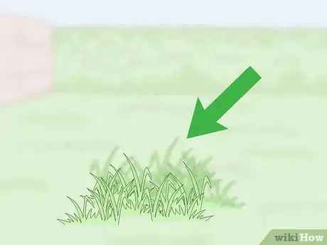 Image titled House Finches Step 13