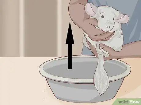 Image titled Give a Chinchilla a Dust Bath Step 10