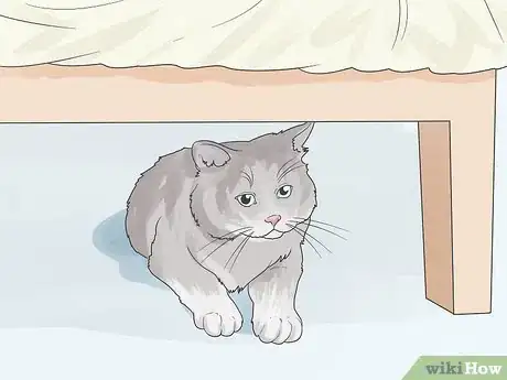 Image titled Help a Cat with Anxiety Step 11
