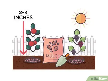 Image titled Plant a Cocktail Garden Step 12