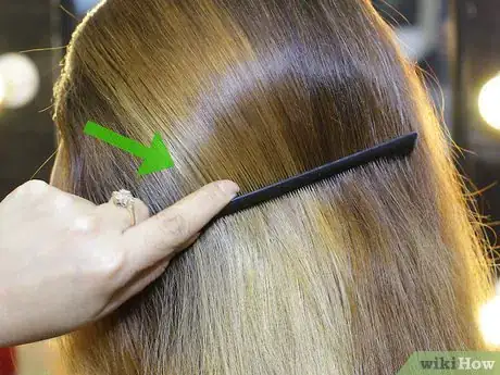 Image titled Do a Hidden Dutch Lace Braid Step 1