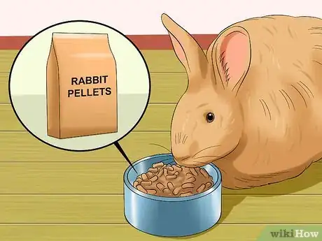 Image titled Care for Satin Angora Rabbits Step 6