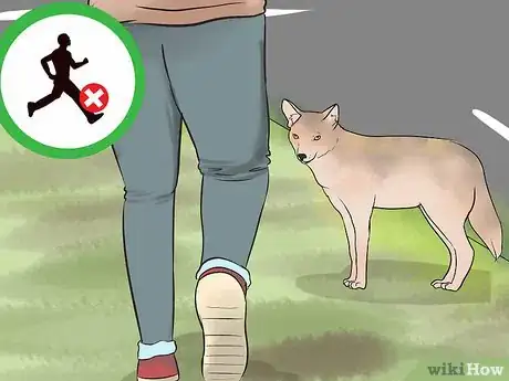 Image titled Deter Coyotes Step 11