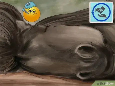 Image titled Insure Your Horse Step 3