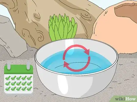 Image titled Give a Lizard a Bath Step 2