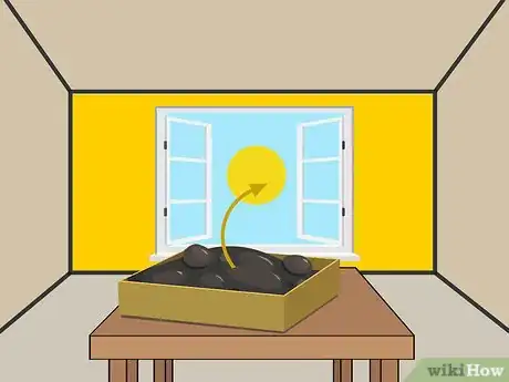 Image titled Plant Night Blooming Jasmine Step 06