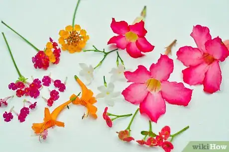 Image titled Perform Home Enfleurage Step 1