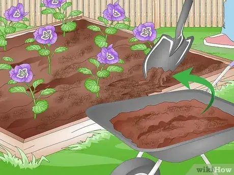 Image titled Kill Purslane Step 10