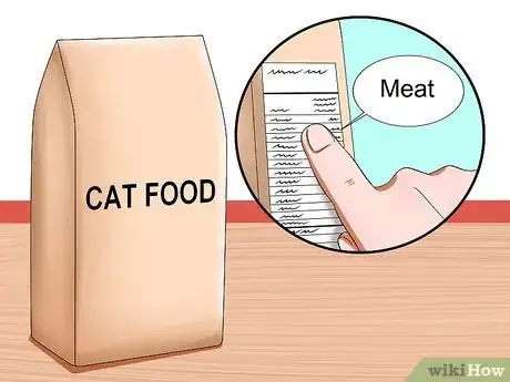 Image titled Care for American Shorthair Cats Step 7