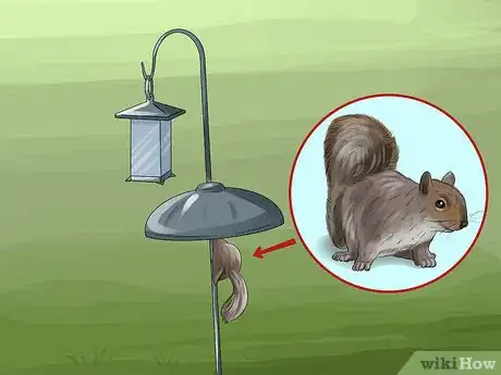Image titled Use a Backyard Bird Feeder Step 25