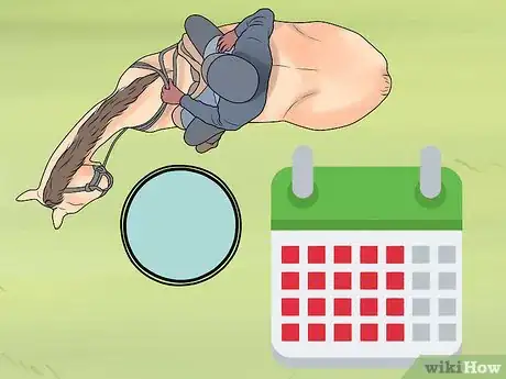 Image titled Find and Train a Barrel Horse Step 10