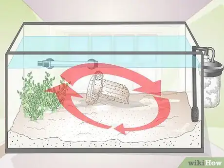 Image titled Keep German Blue Ram Cichlids Step 3