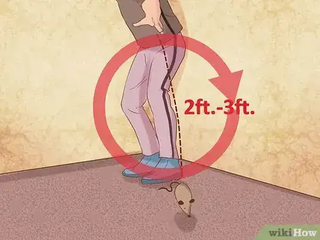 Image titled Train Your Cat to Fetch a Toy Mouse Step 8