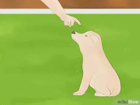 Image titled Calm a Hyperactive Dog Step 2