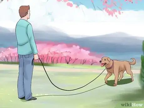 Image titled Tame a Dog Step 22