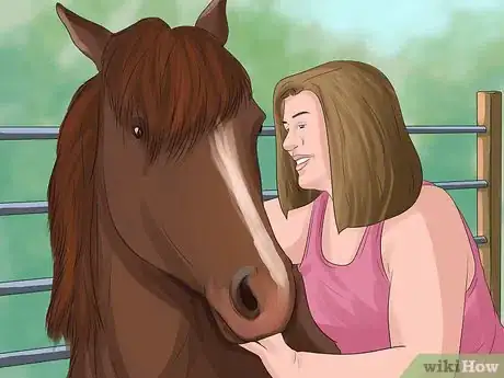 Image titled Get More Confident Around Horses Step 8
