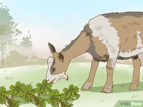 Image titled Harvest Kudzu Step 19