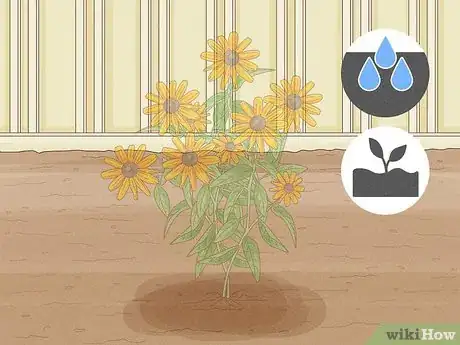 Image titled Grow Black Eyed Susan Flowers Step 2