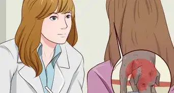 Diagnose and Treat Your Dog's Itchy Skin Problems