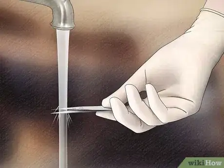 Image titled Remove a Tick from a Horse Step 11