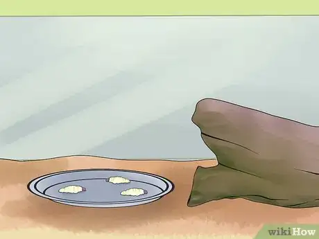 Image titled Feed an Anole Green Lizard Step 10