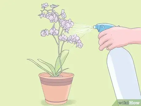 Image titled Care for Mini Orchids Step 12
