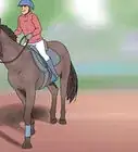 Prepare for Your First Horse Riding Lesson
