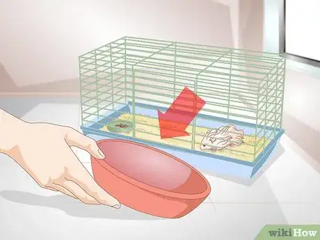 Image titled Clean a Long Haired Hamster Step 1