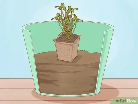 Image titled Plant a Woolworths Discovery Garden Step 15