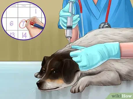 Image titled Save Money on Vet Care for Your Dog Step 4