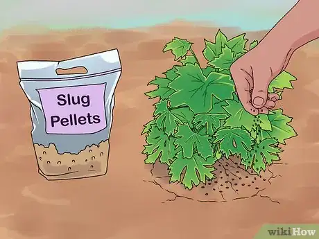 Image titled Grow Delphinium Step 27