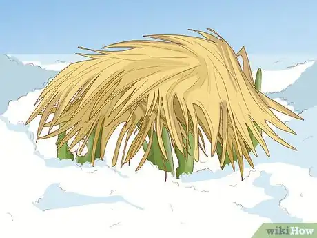 Image titled Plant Snowdrops Step 13