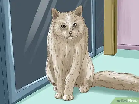 Image titled Use a Backyard Bird Feeder Step 29