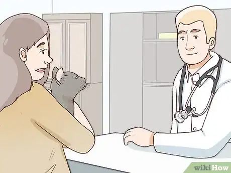 Image titled Treat Feline Acne Step 5