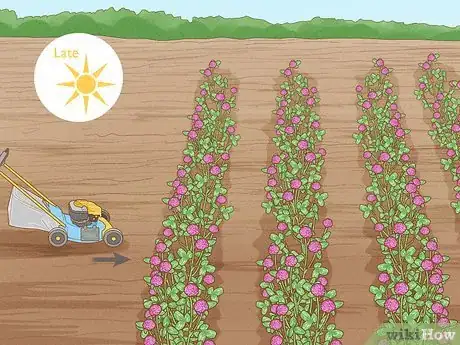 Image titled Grow Red Clover Step 10