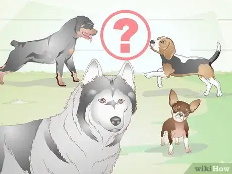 Image titled Transition from Puppy to Adult Dog Food Step 3