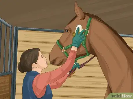 Image titled Get More Confident Around Horses Step 4