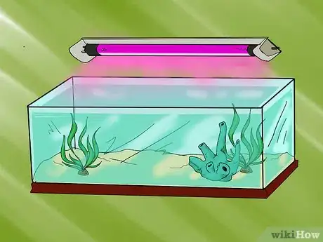 Image titled Purchase a Quality Uv Sterilizer for Aquariums and Ponds Step 5
