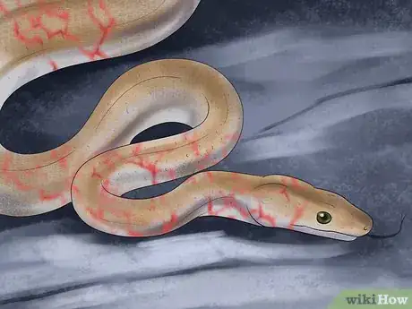 Image titled Diagnose Vitamin a Deficiency in Reptiles Step 6