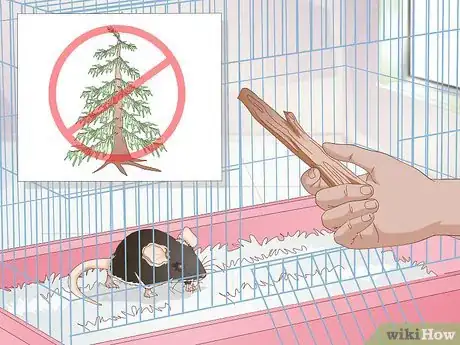 Image titled Prevent and Treat Overgrown Teeth in Mice Step 3
