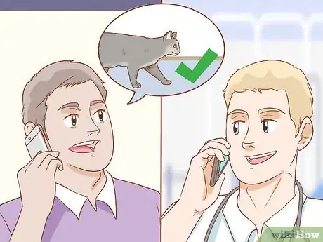 Image titled Get a Veterinary Second Opinion for Your Cat Step 3