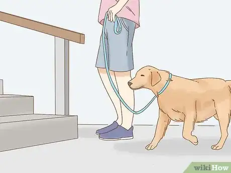 Image titled Train a Blind Dog to Handle the Stairs Step 1
