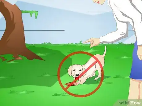 Image titled Make a Puppy Stop Digging Step 1