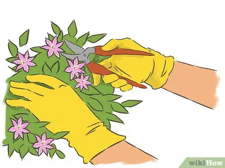 Image titled Prune Clematis Step 3