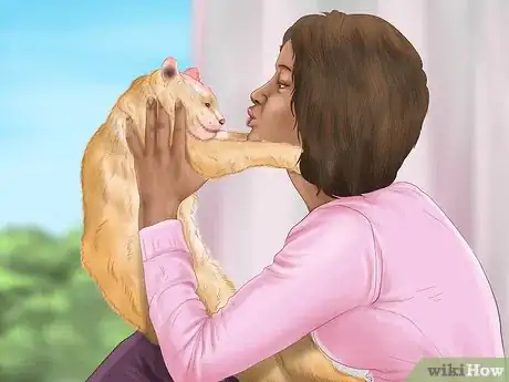 Image titled Pick a Healthy Adult Cat Step 1