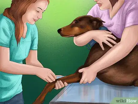 Image titled Prepare for Your Dog's Annual Vet Exam Step 3